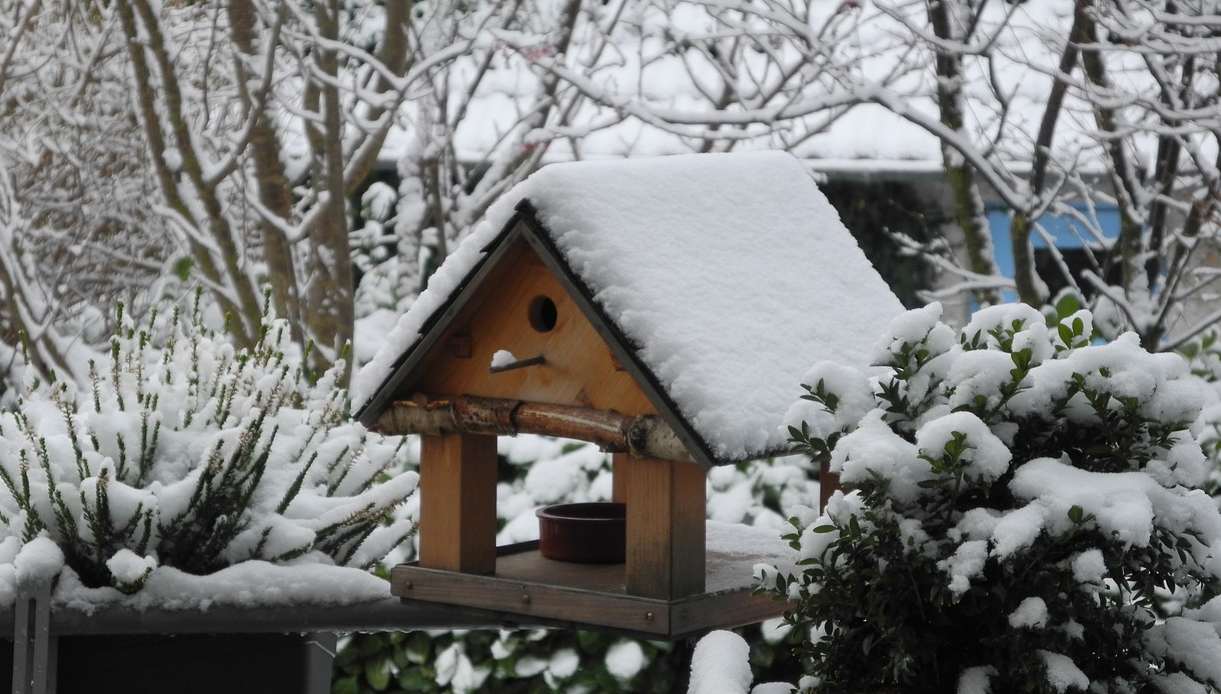 vogelhaus-winter