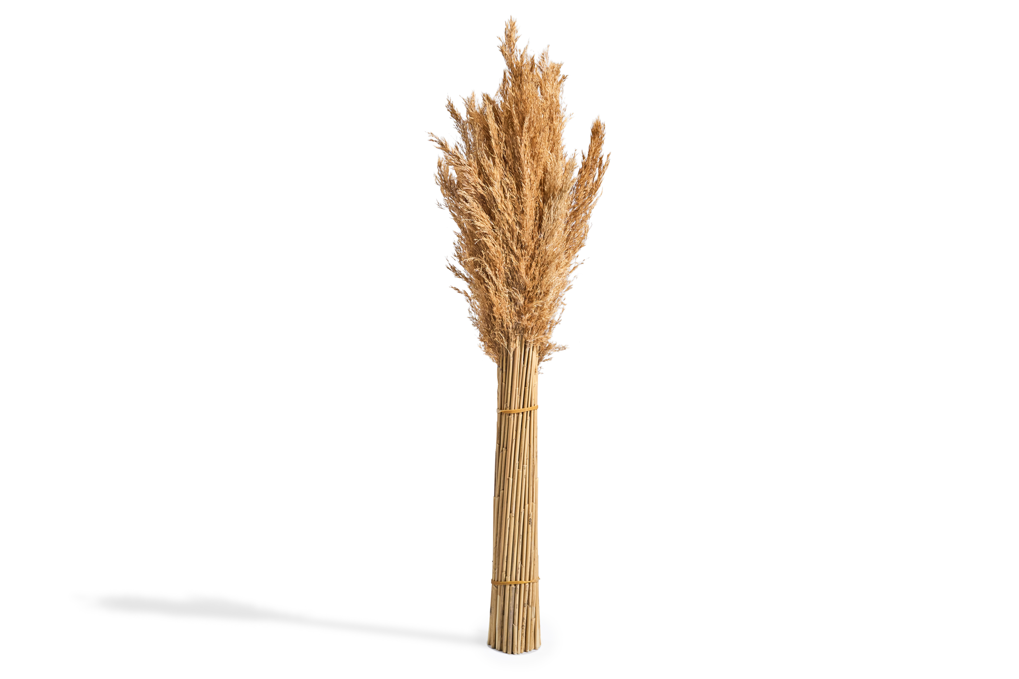 Hiss Reetblumenstrauß 70cm