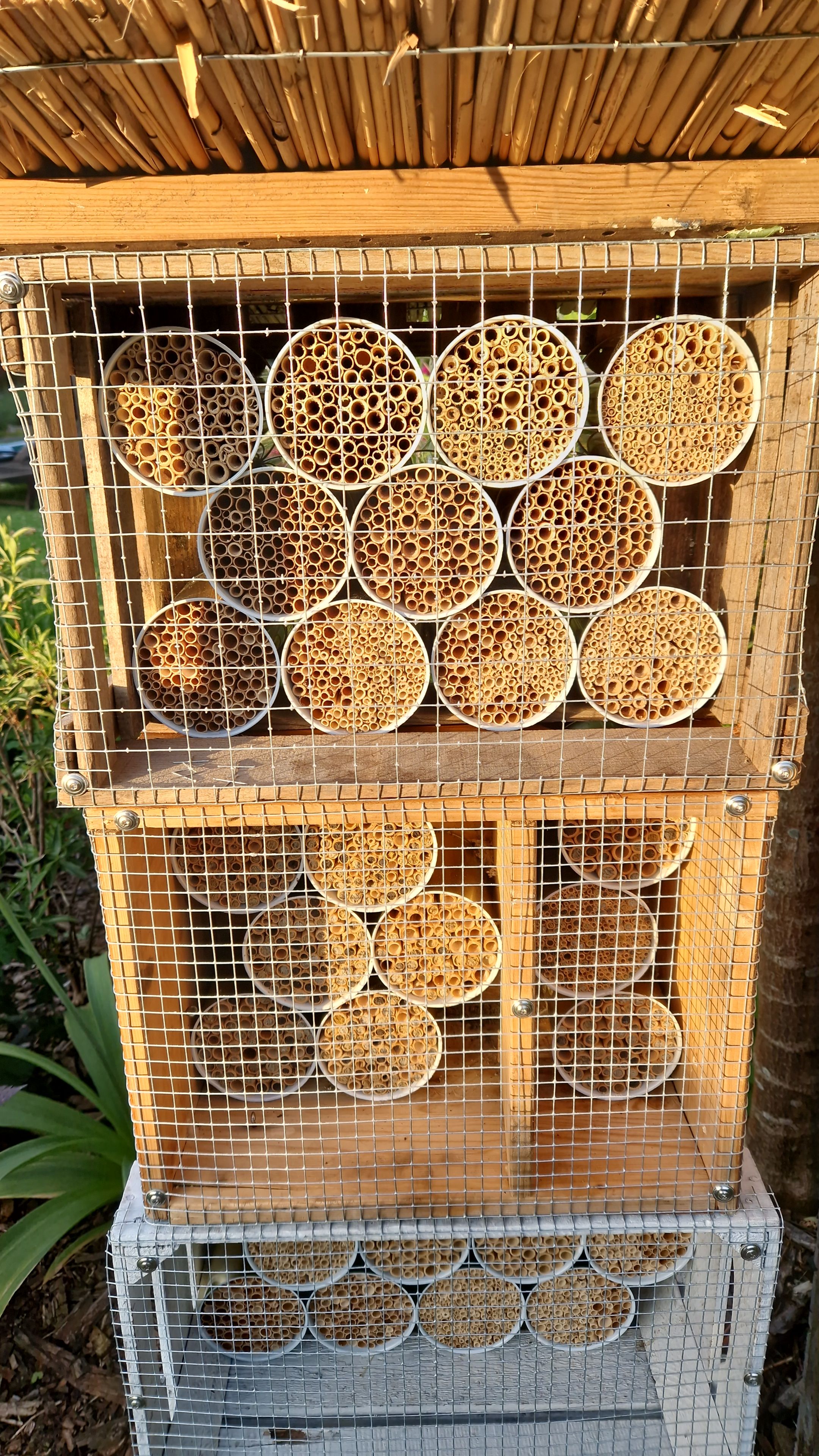 Wildbienen: Naturschutz durch Nisthilfen - Wildbienenhotel aus Schilfrohr bauen für Dummies