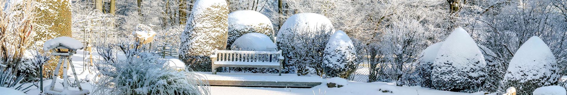Der Garten im Winter